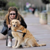 Devenir famille d’accueil d’un chien guide d’aveugle : une mission pleine de sens !